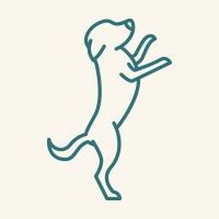 Dog jumping image