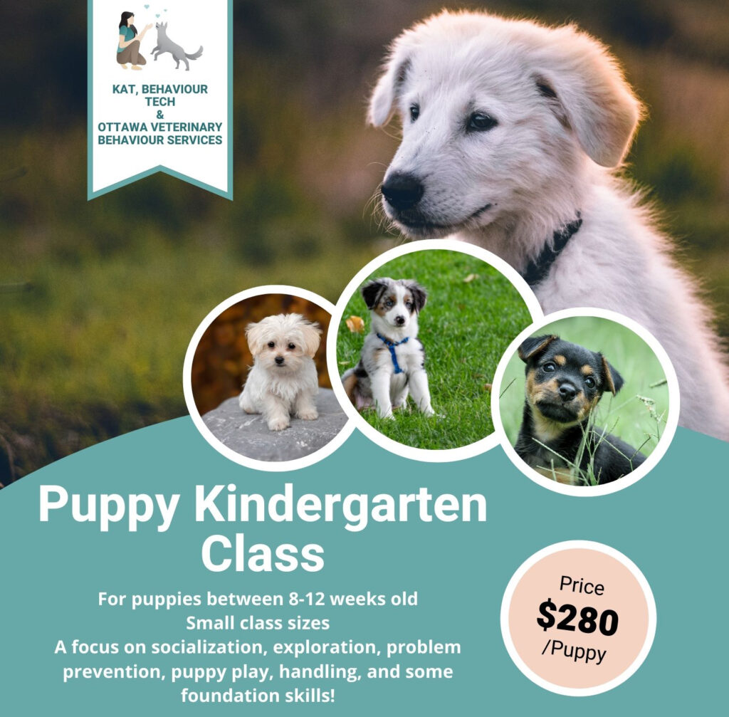 Puppy Class Ottawa Poster
